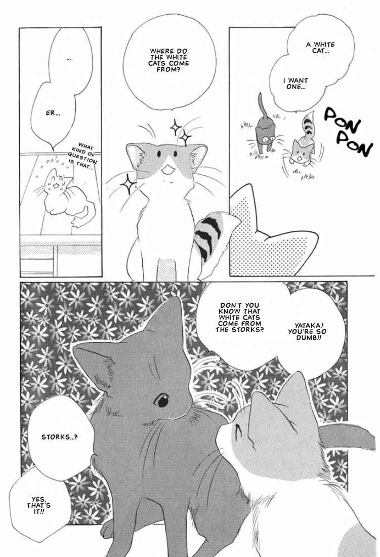 Page 2 Chapter 10 Shippo no Kimochi
