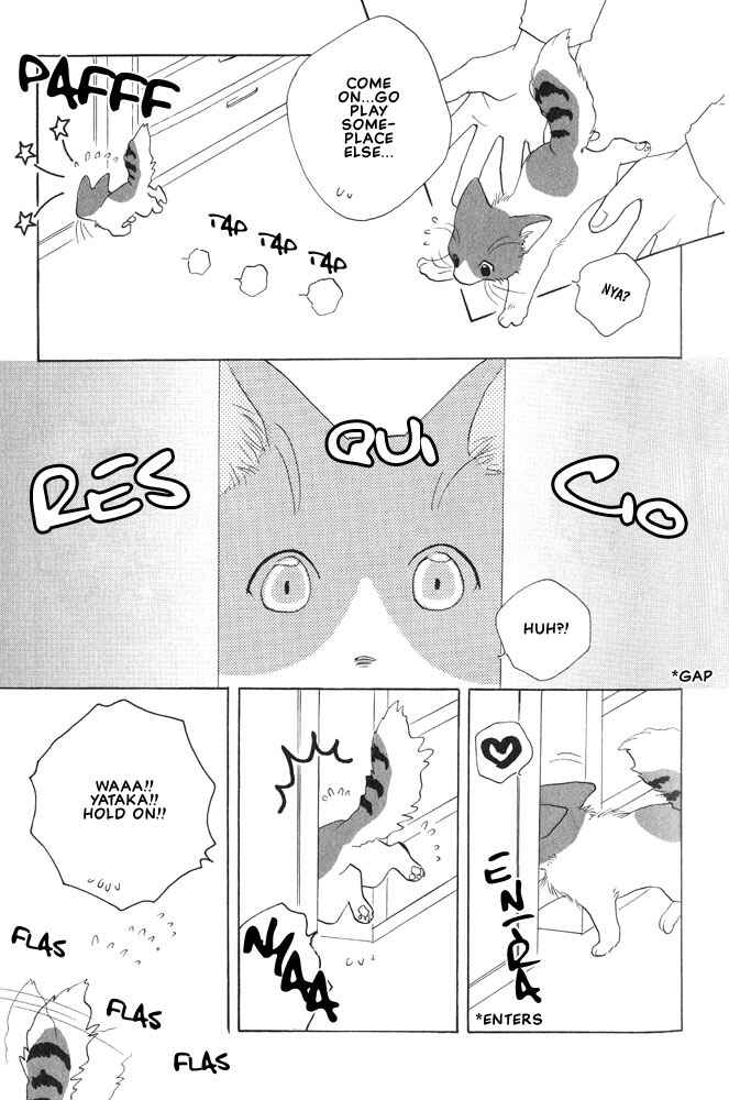 Page 3 Chapter 9 Shippo no Kimochi