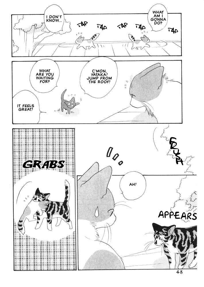 Page 7 Chapter 7 Shippo no Kimochi