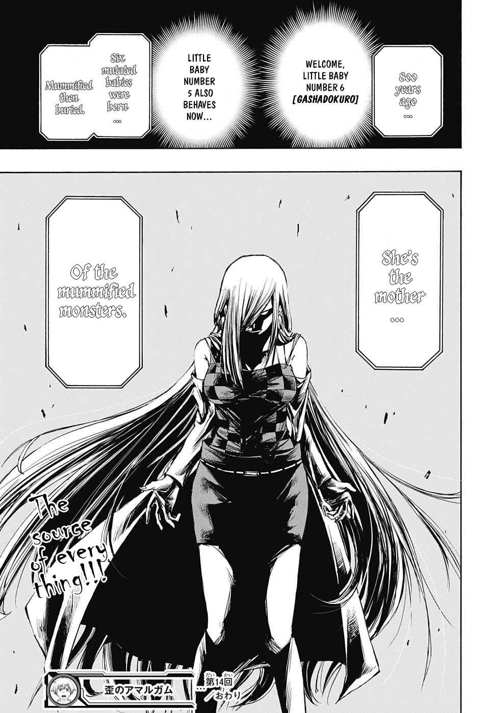 Page 20 Chapter 14 Amalgam of Distortion