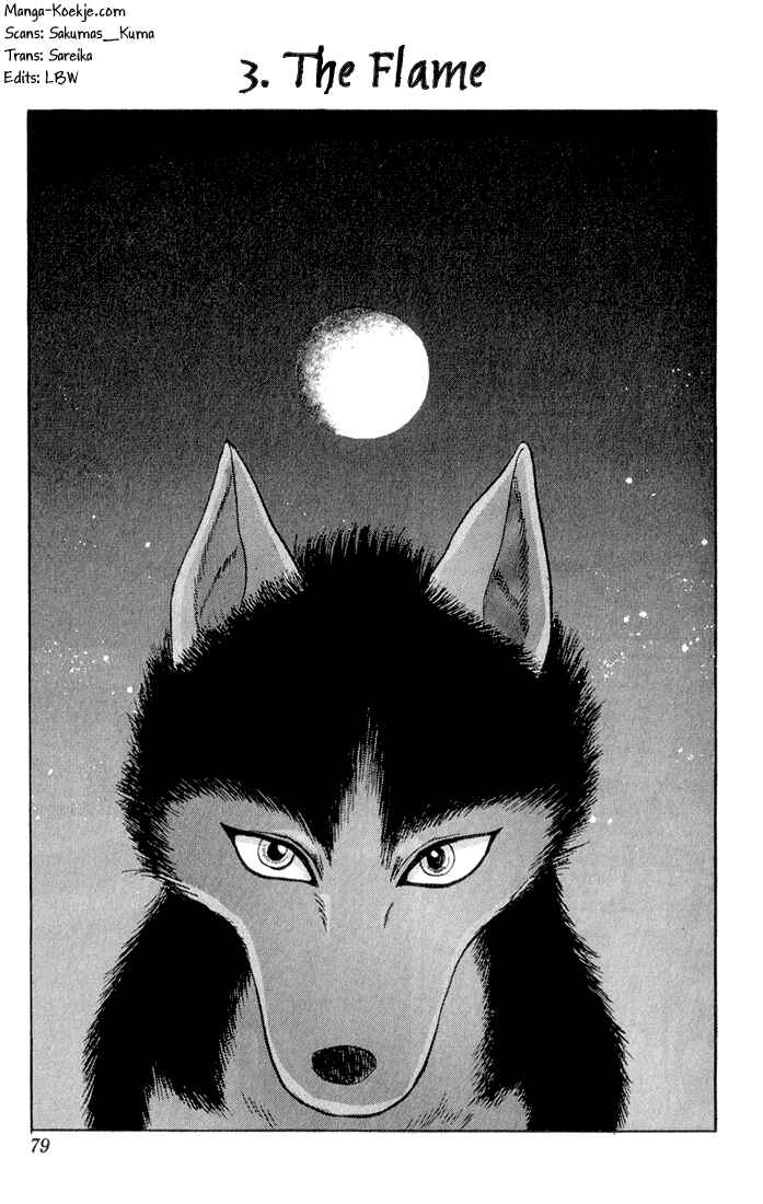 Page 1 Chapter 3 Wild Half