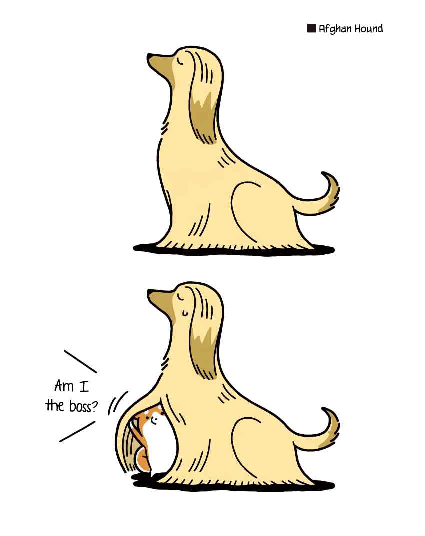 Page 4 Chapter 7 Taru Shiba