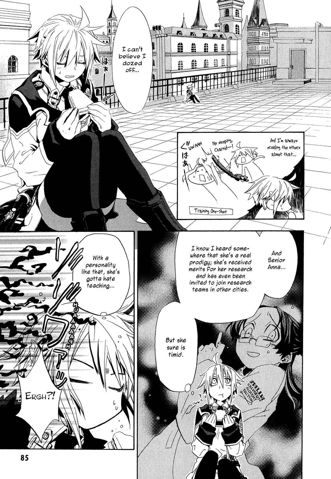 Page 6 Chapter 3 Chrome Shelled Regios