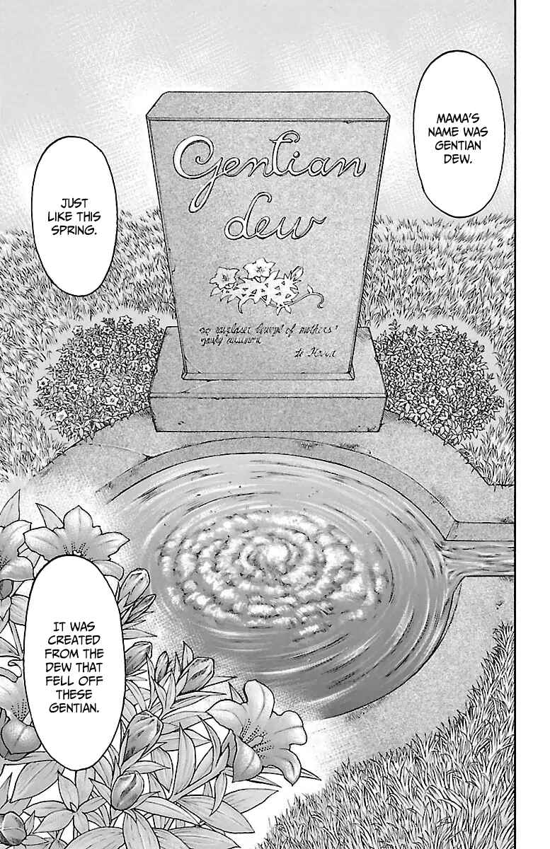 Page 22 Chapter 3 Sunset Rose