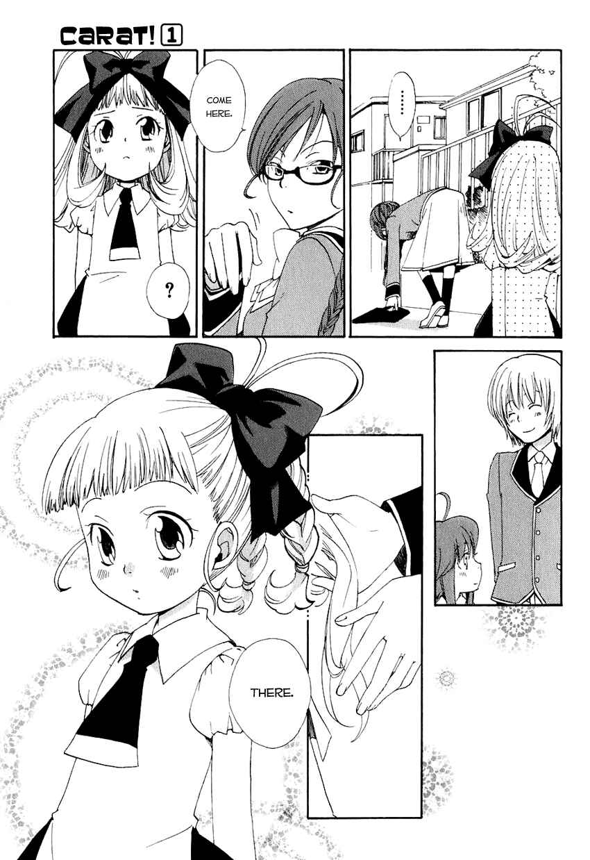 Page 31 Chapter 2 Carat!