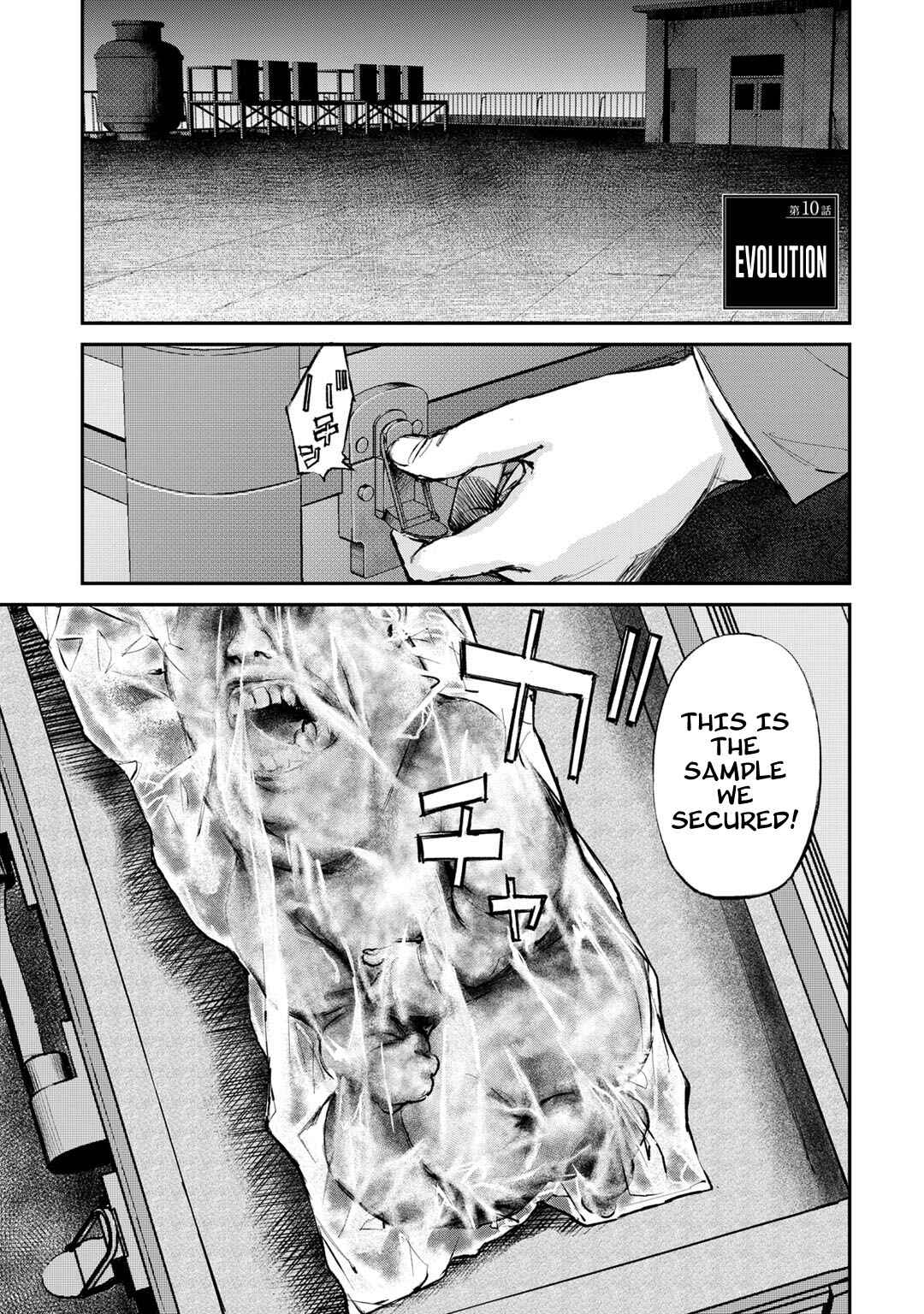 Page 1 Chapter 10 Mushroom
