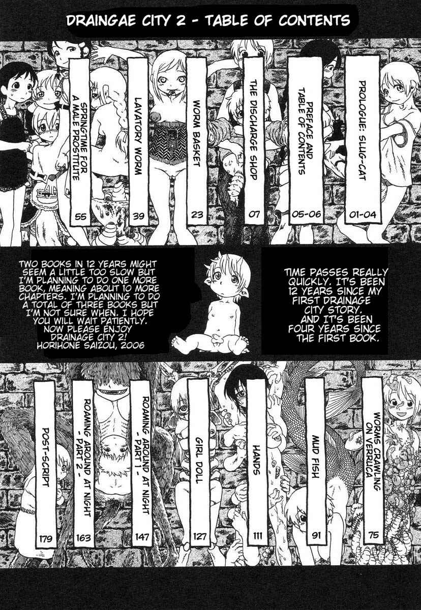 Page 7 Chapter 0 Drainage City