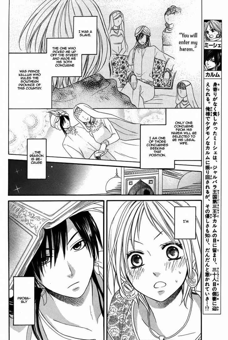 Page 3 Chapter 4 Sabaku no Harem
