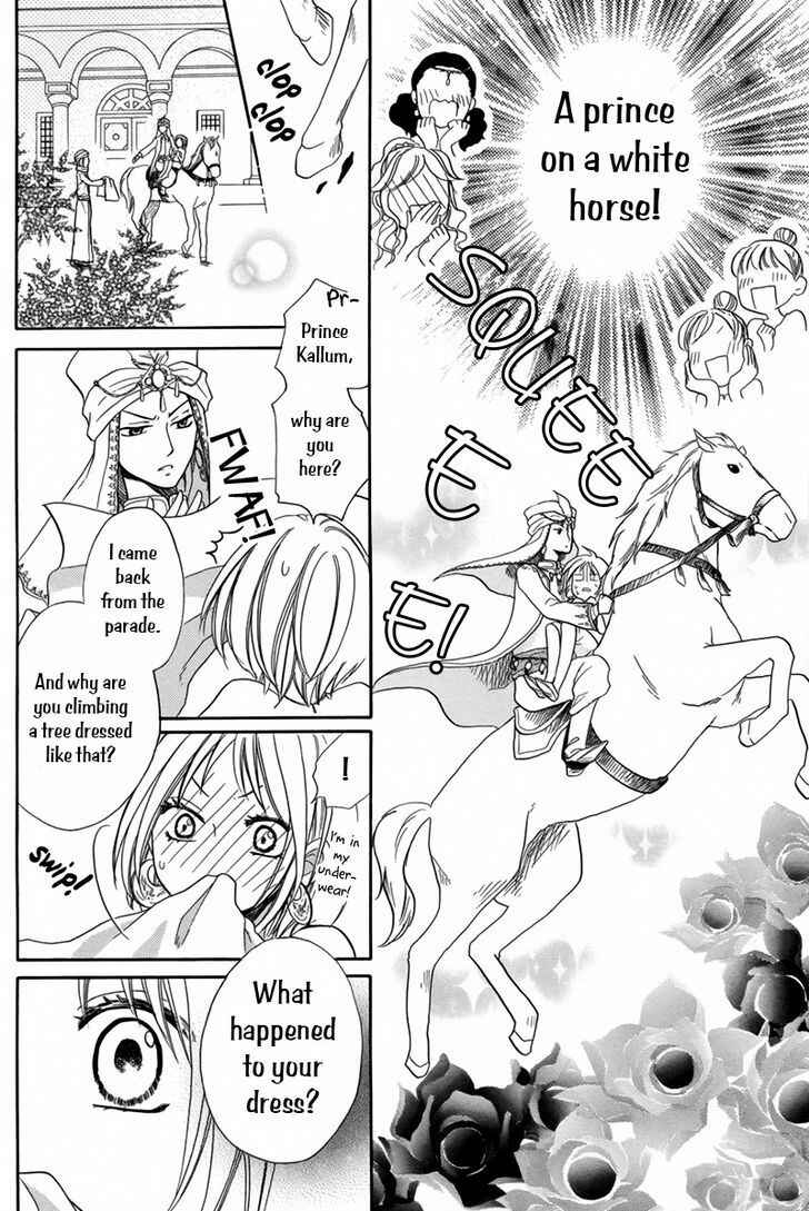 Page 31 Chapter 14 Sabaku no Harem
