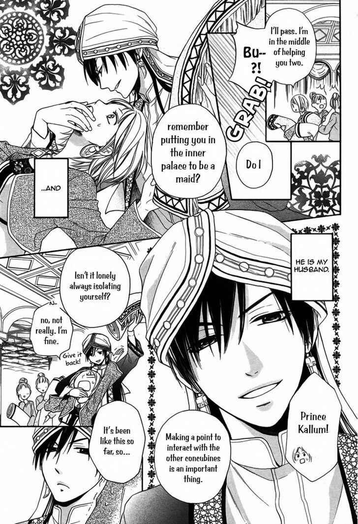 Page 4 Chapter 7 Sabaku no Harem