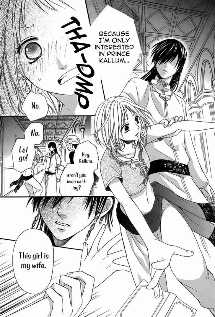 Page 22 Chapter 8 Sabaku no Harem