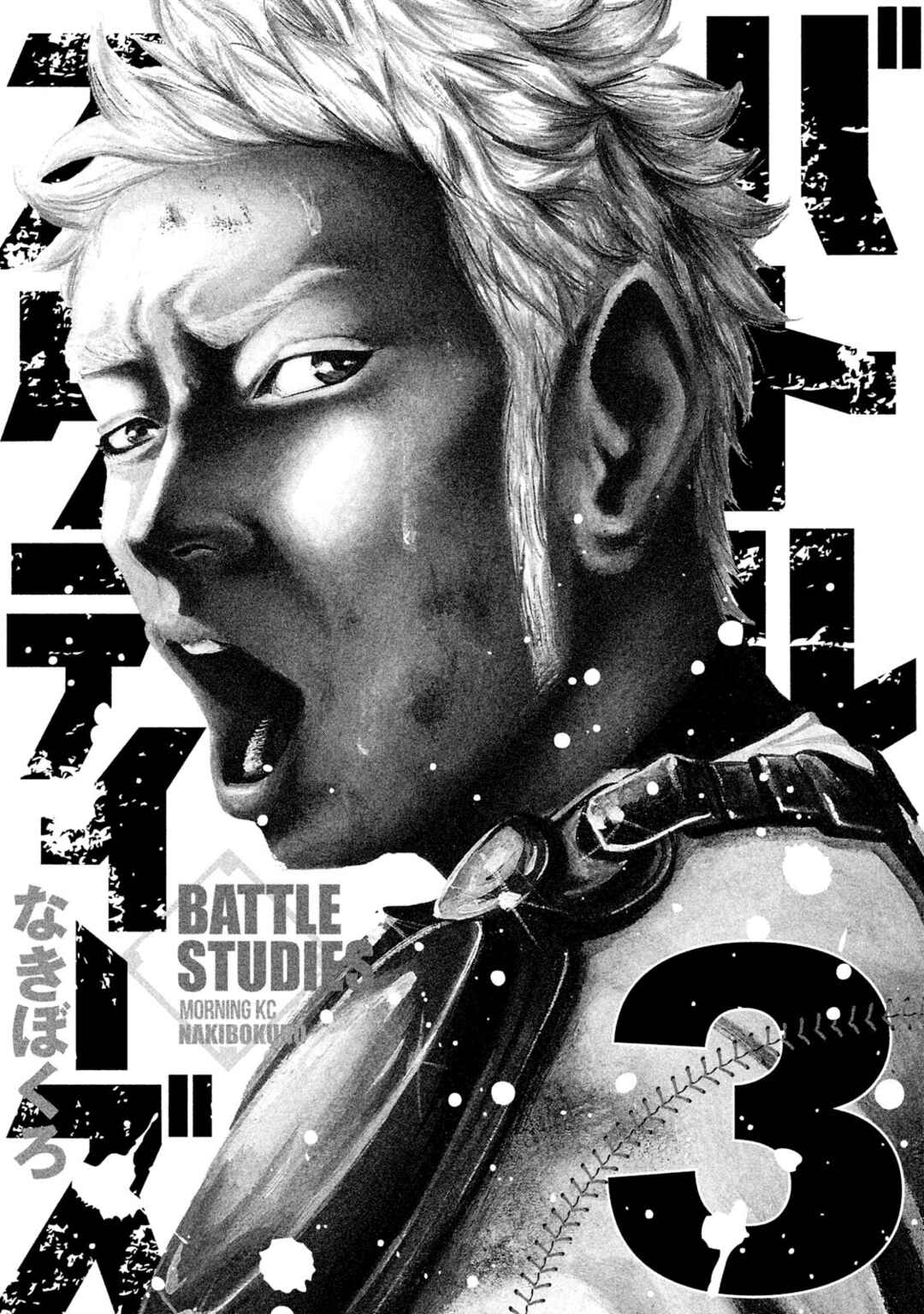 Page 2 Chapter 20 Battle Studies