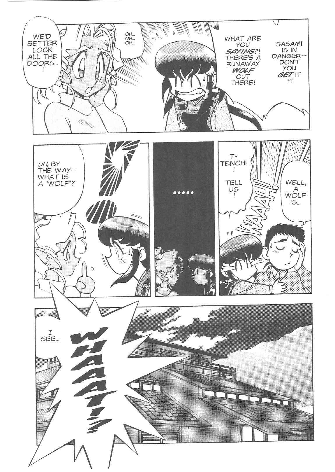 Page 29 Chapter 15 Tenchi Muyo! Ryo-Ohki