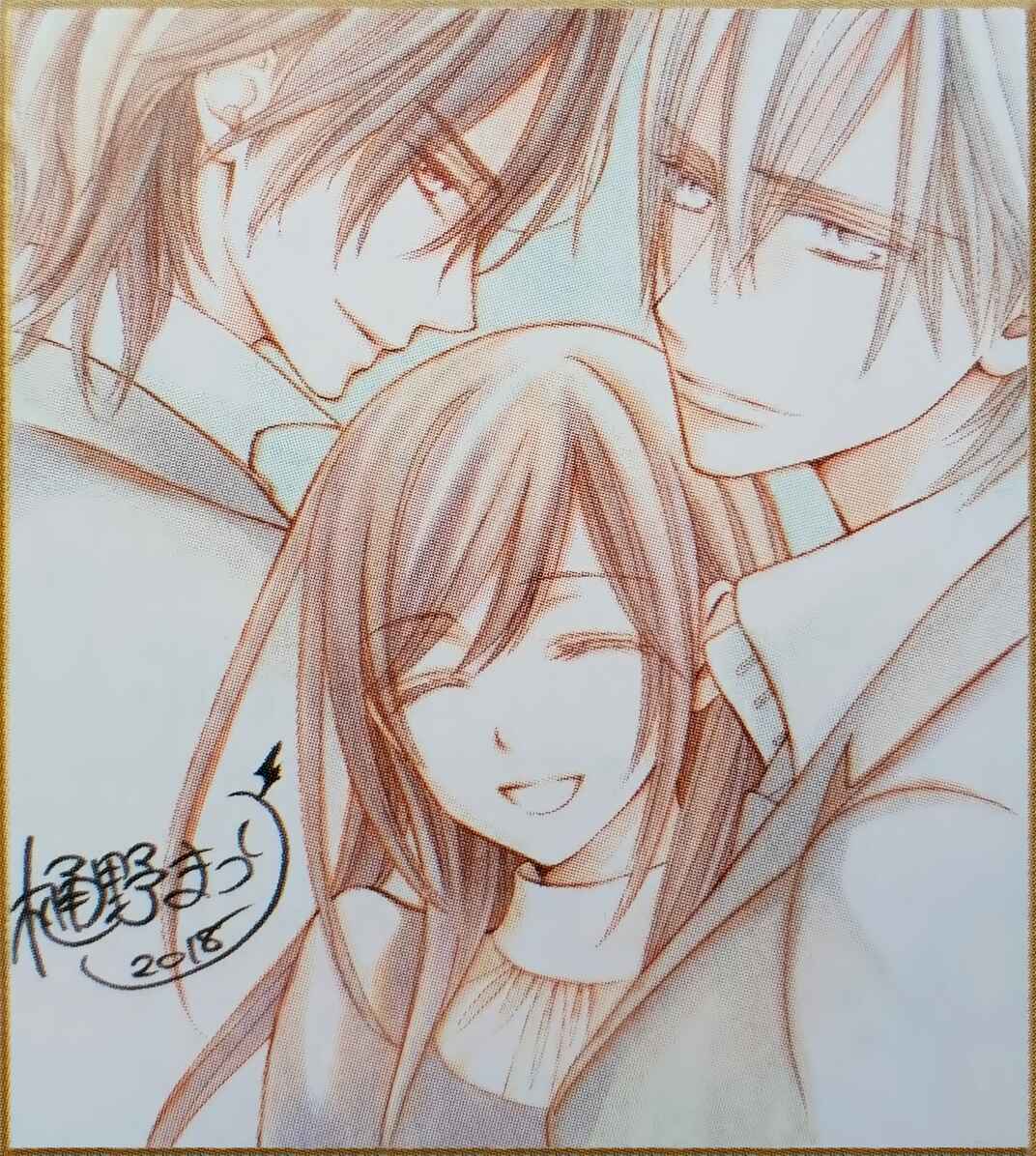 Page 38 Chapter 17 Vampire Knight Memories