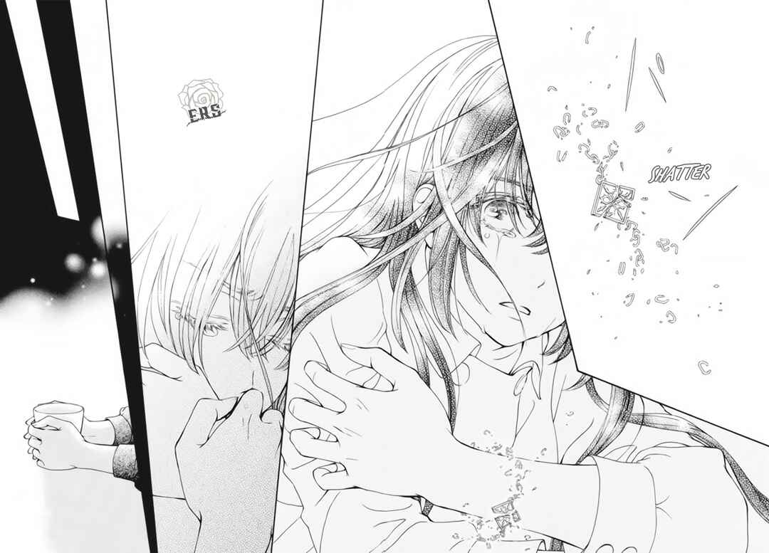 Page 21 Chapter 47 Vampire Knight Memories
