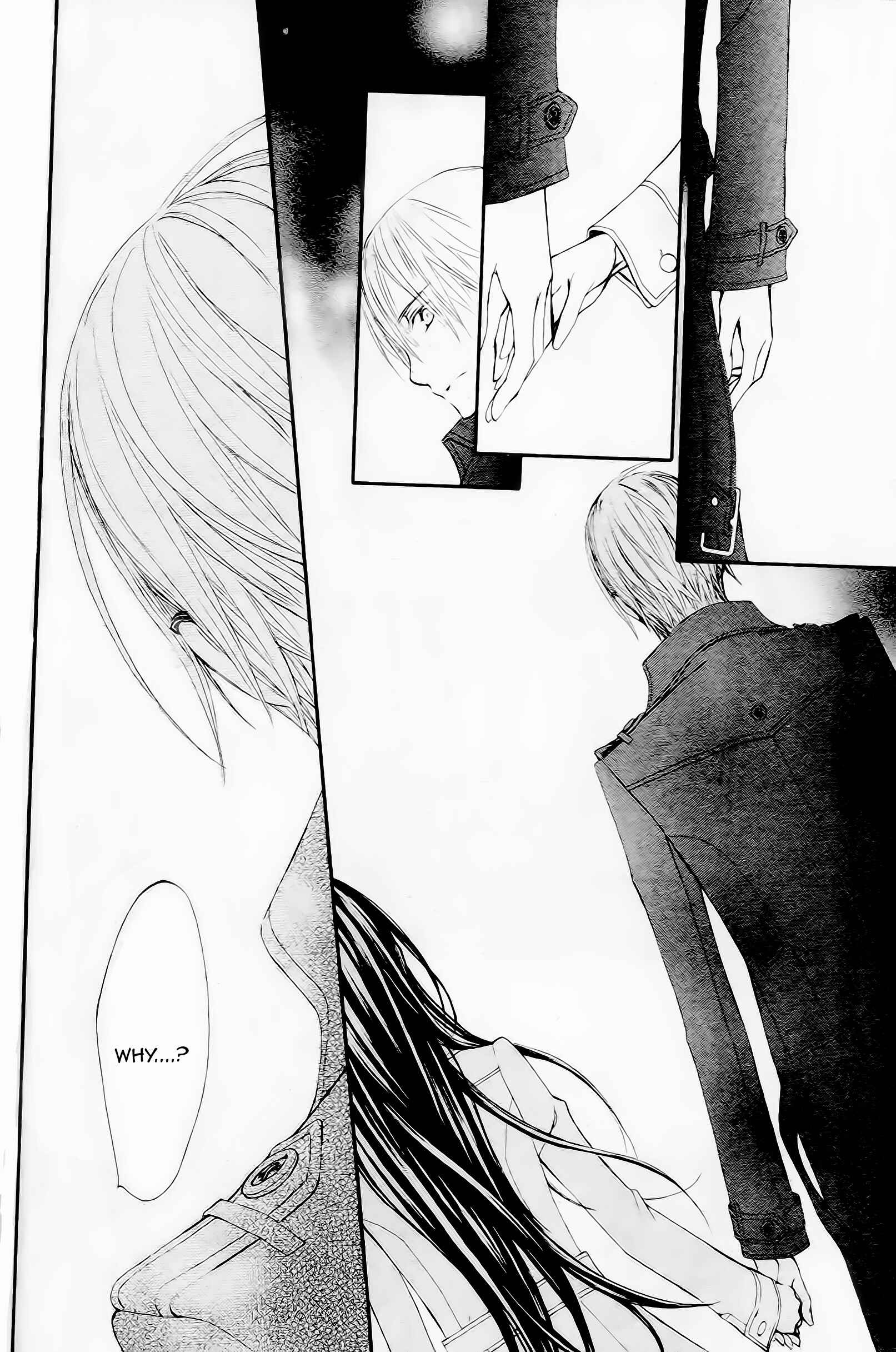 Page 30 Chapter 9 Vampire Knight Memories