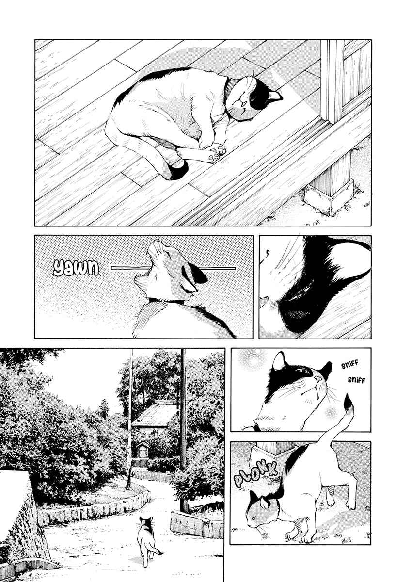 Page 14 Chapter 9 Ao no Shima to Neko Ippiki