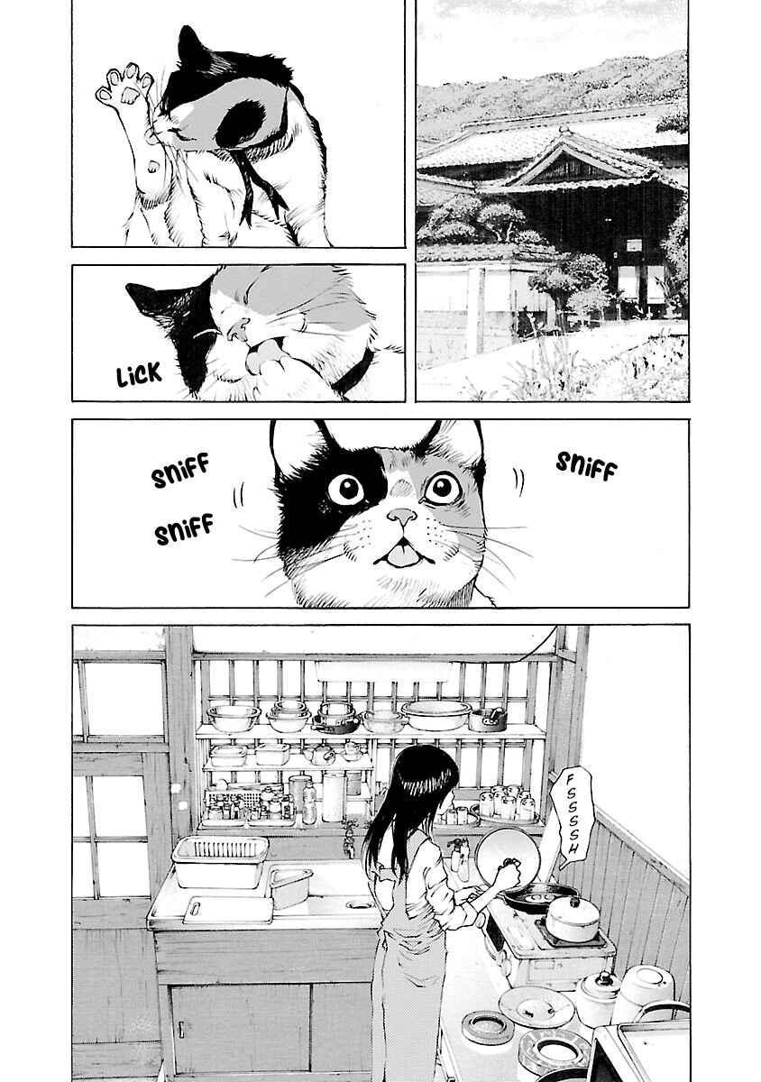 Page 22 Chapter 12 Ao no Shima to Neko Ippiki