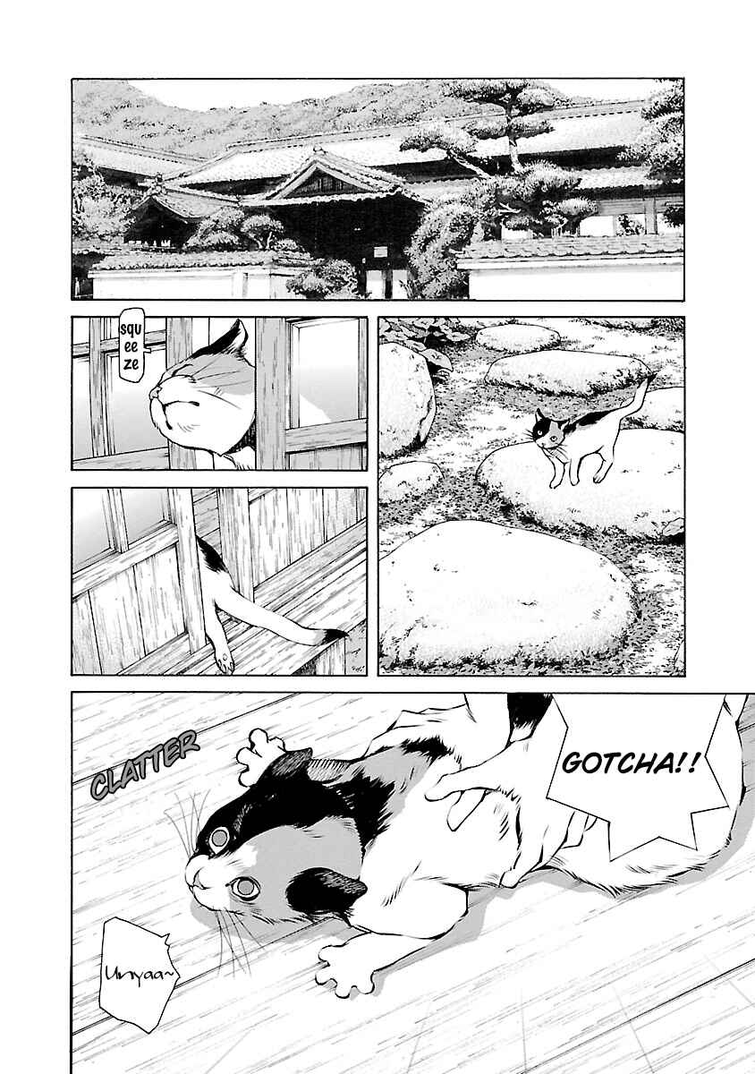Page 11 Chapter 14.5 Ao no Shima to Neko Ippiki