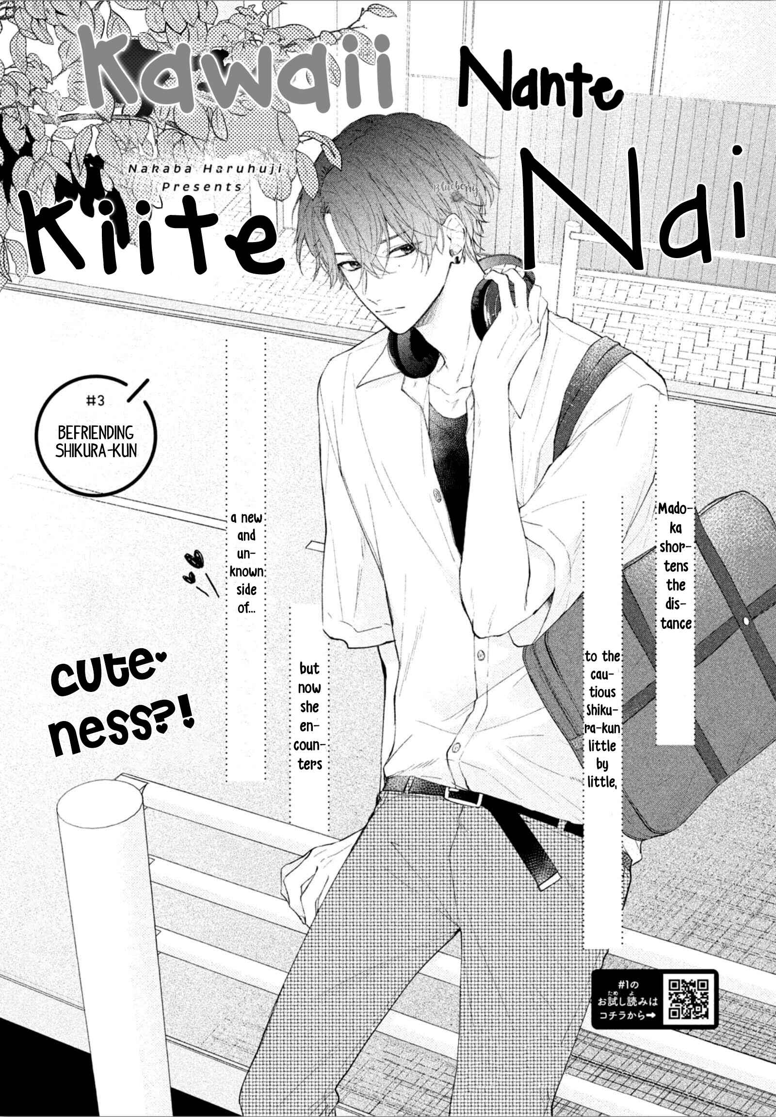 Page 3 Chapter 3 Kawaii nante Kiitenai!!