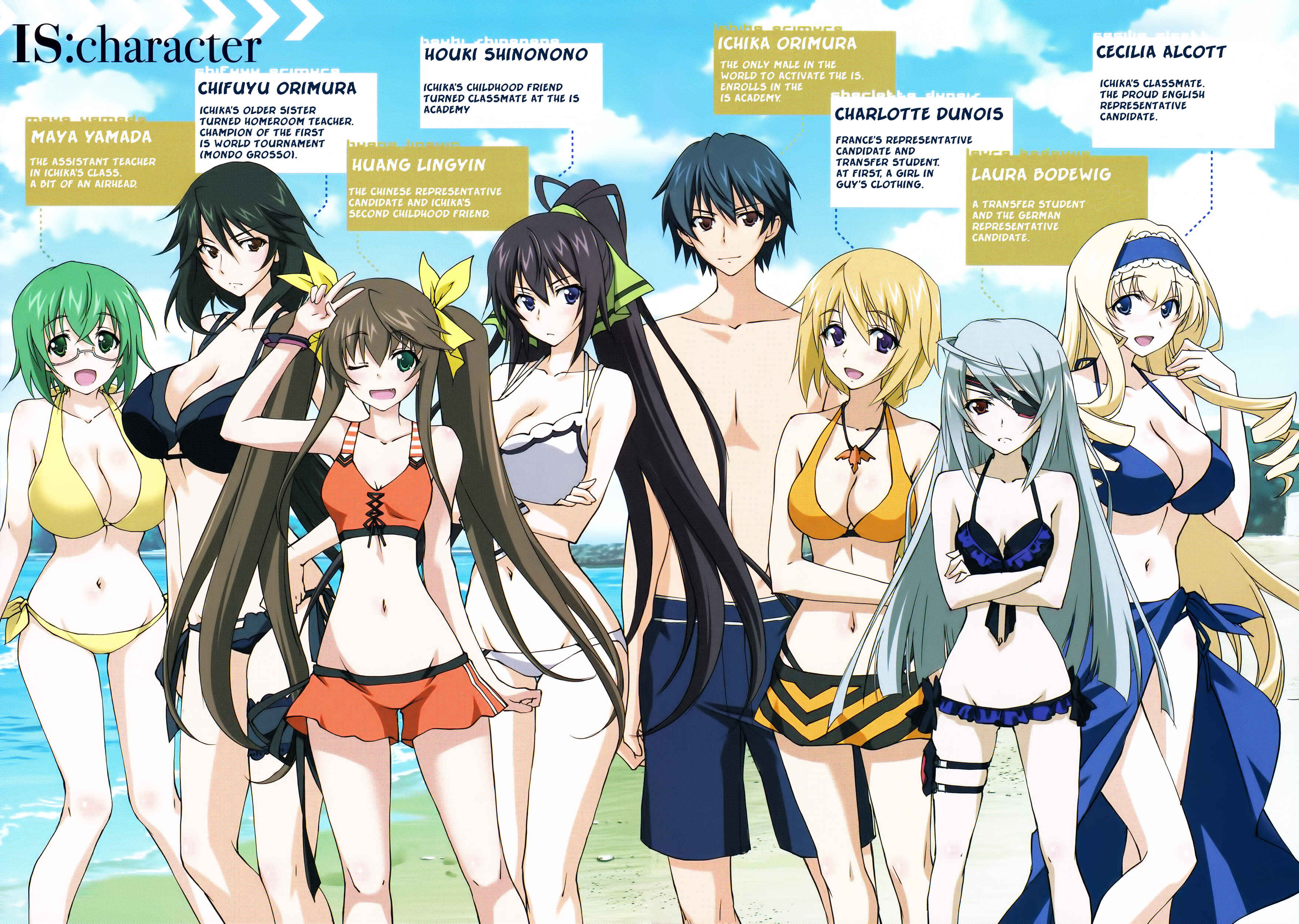 Page 41 Chapter 27 Infinite Stratos