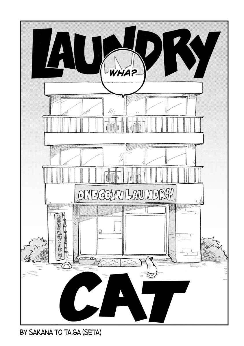 Page 5 Chapter Unknown_3906 Laundry Cat