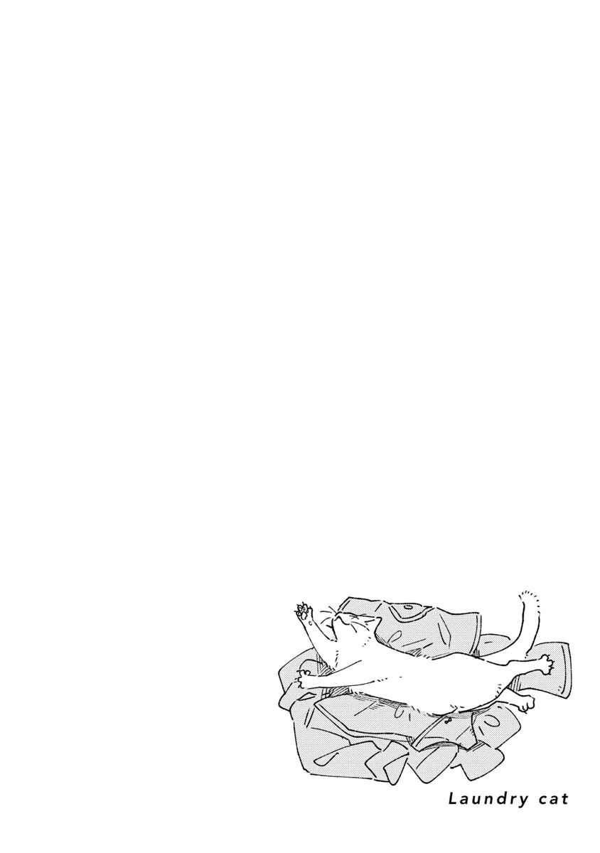 Page 6 Chapter Unknown_3906 Laundry Cat