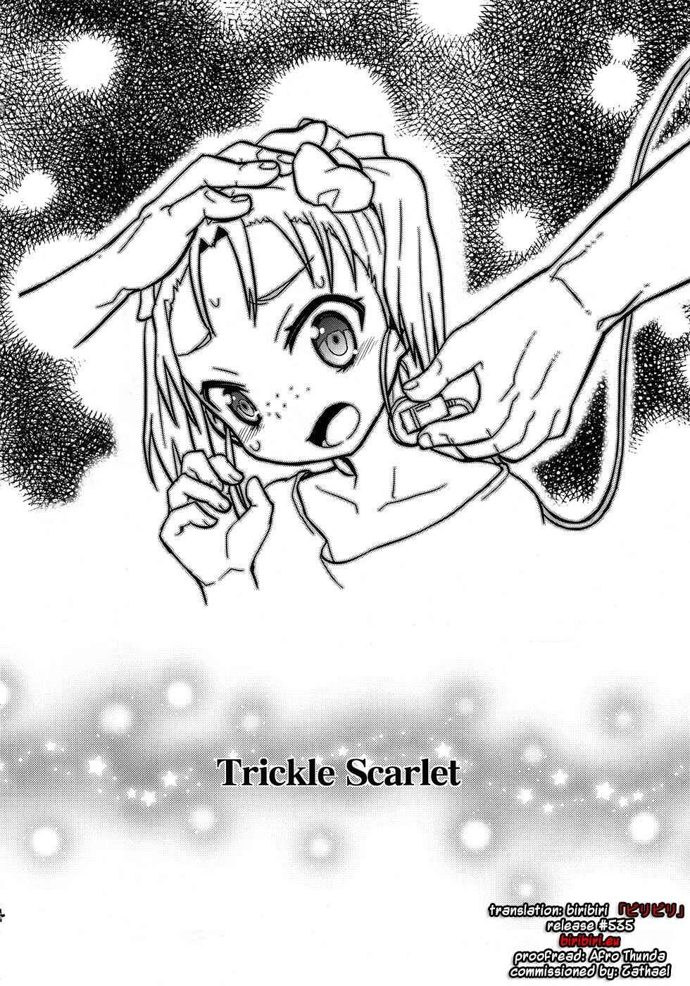 Page 3 Chapter Unknown_9d9c Accel World - Trickle Scarlet (Doujinshi)