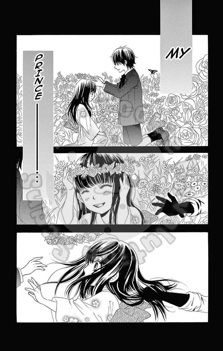 Page 14 Chapter 7 The Rose-Colored Promise