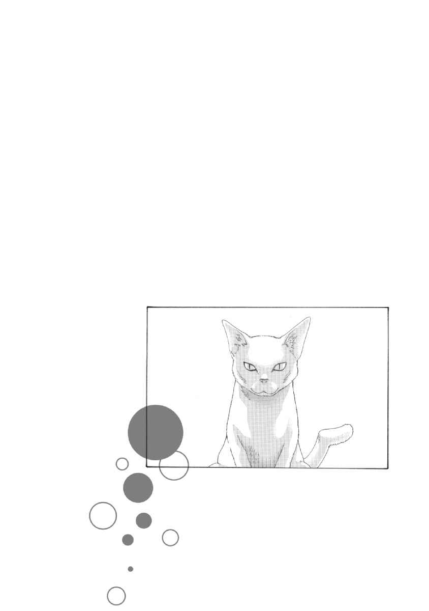 Page 10 Chapter 6.5 Tama-san, the Watchtower Cat