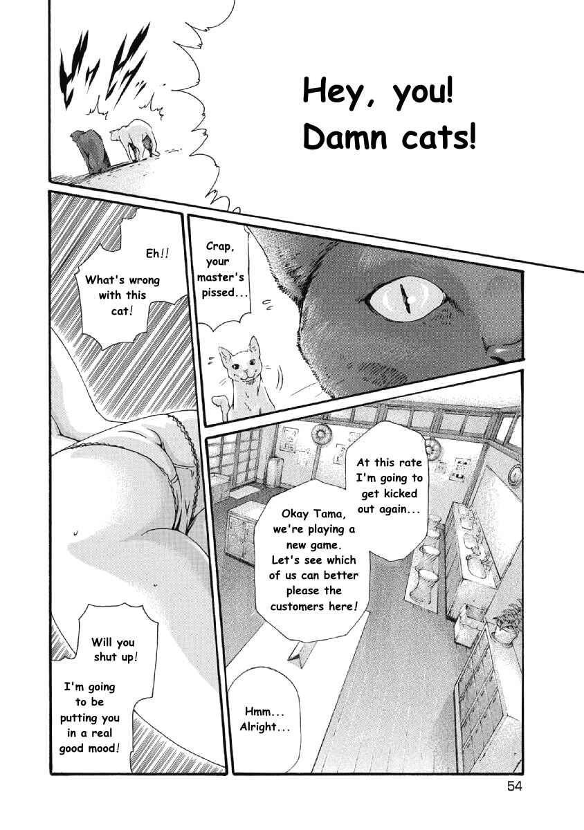 Page 4 Chapter 6.5 Tama-san, the Watchtower Cat