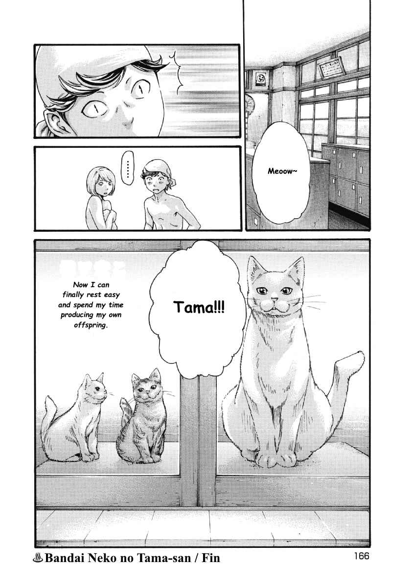Page 8 Chapter 19 Tama-san, the Watchtower Cat