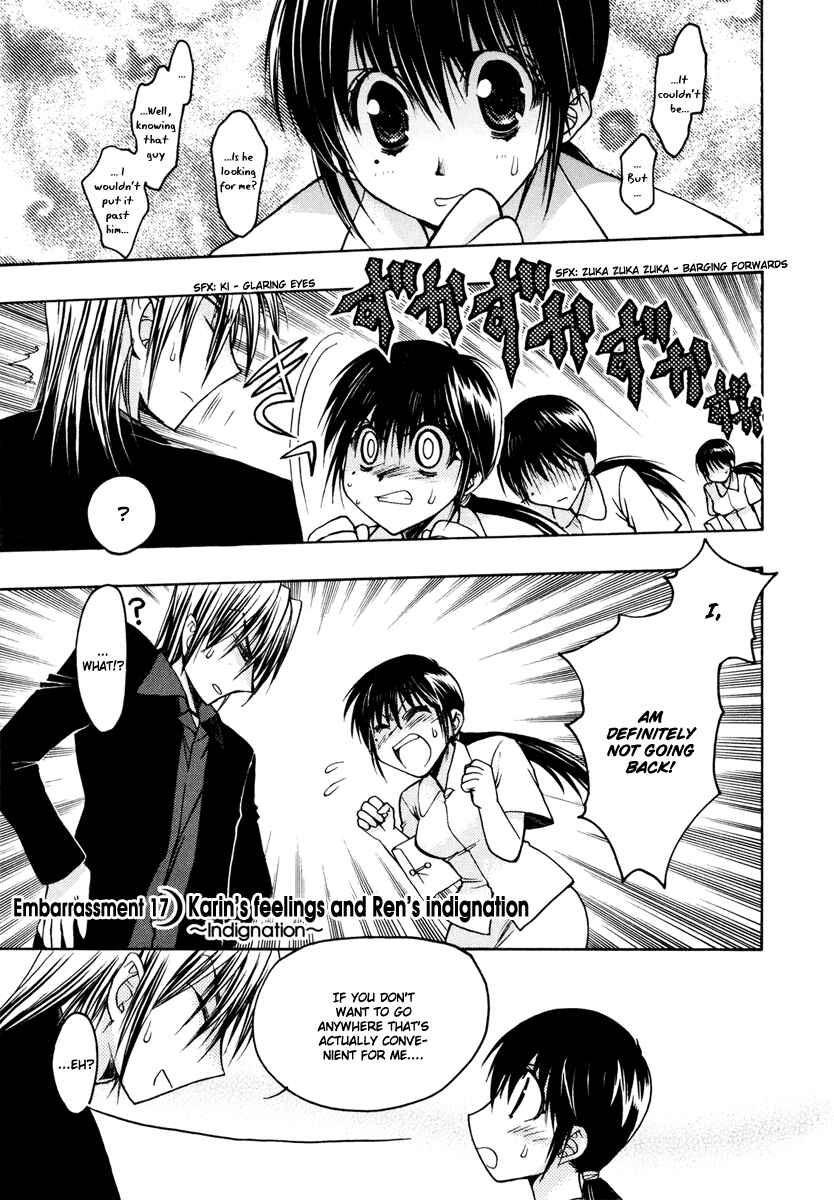 Page 1 Chapter 17 Karin