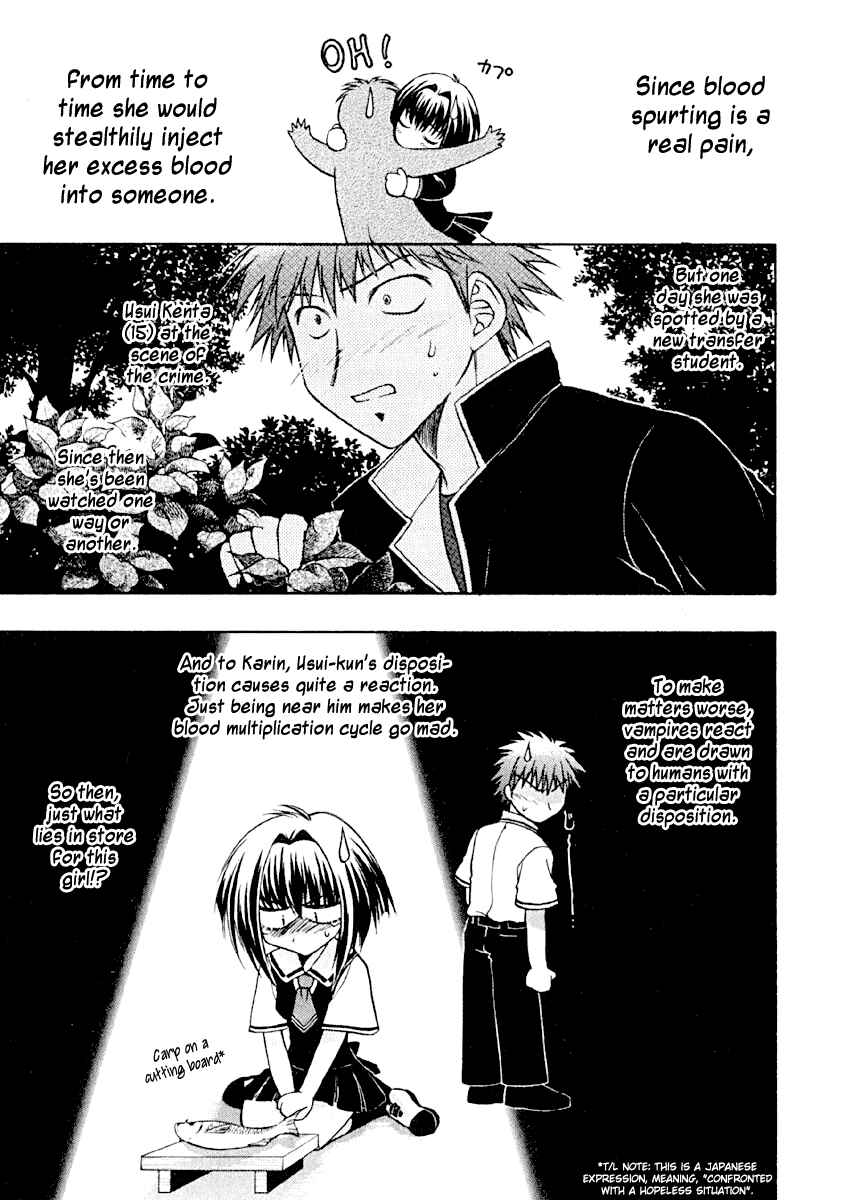 Page 10 Chapter 6 Karin