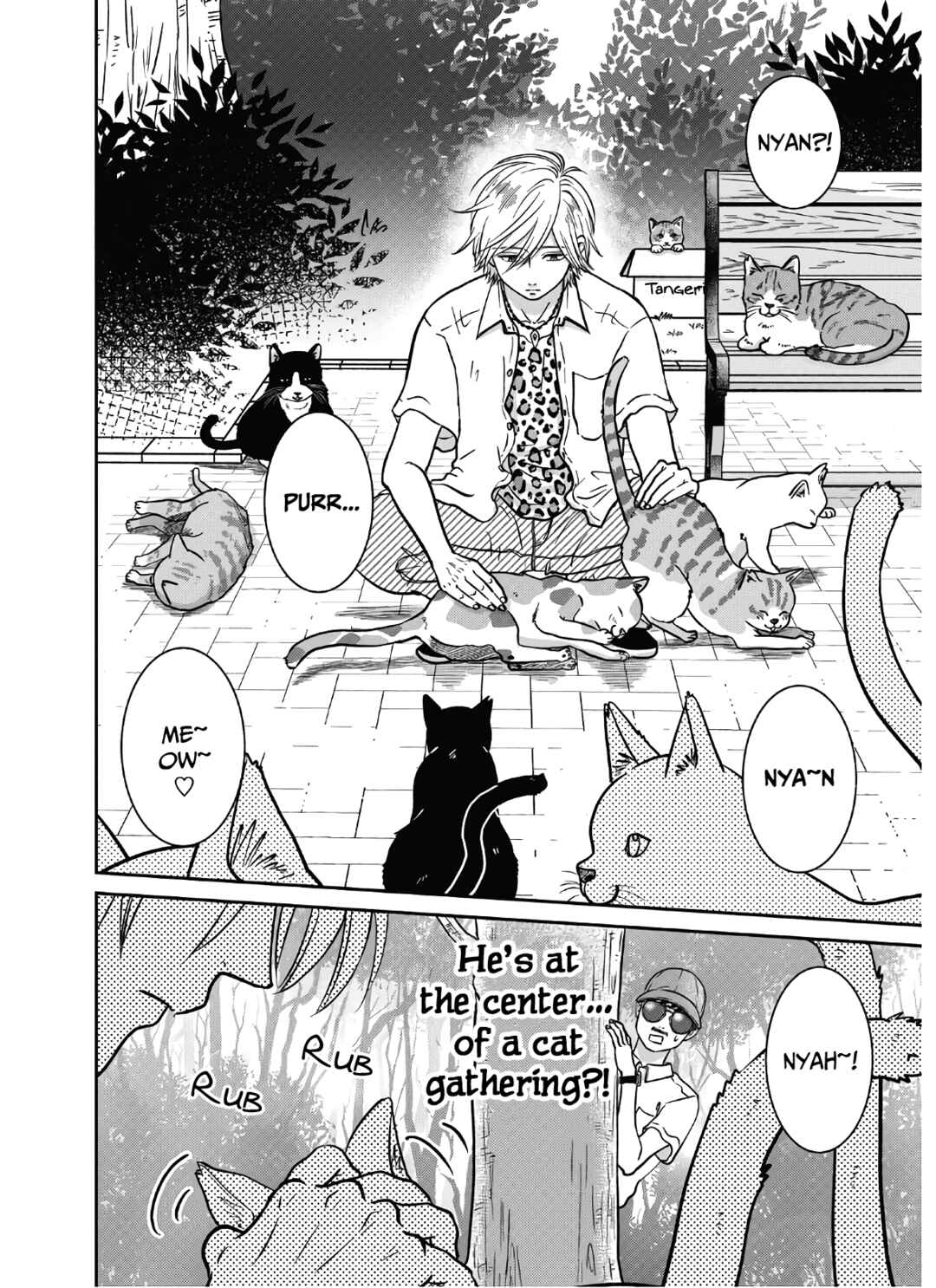 Page 11 Chapter 15 Mochizuki-sanchi no Yankee