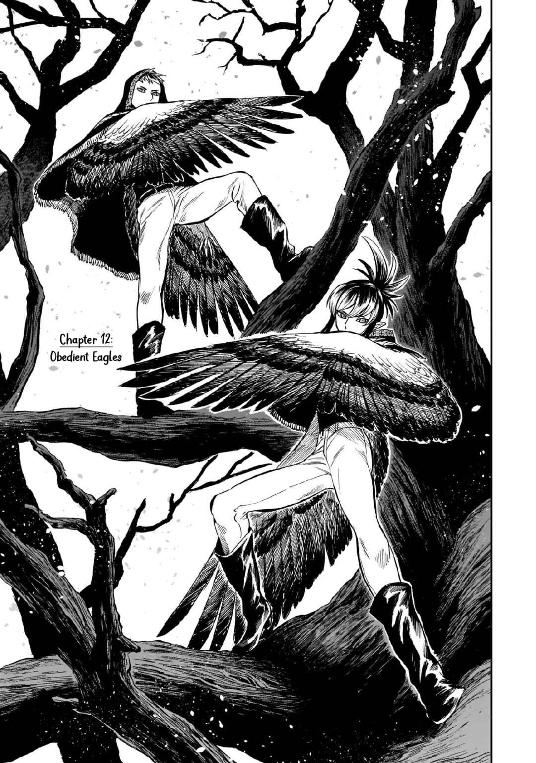 Page 1 Chapter 12 Tora wa Ryuu o Mada Tabenai.
