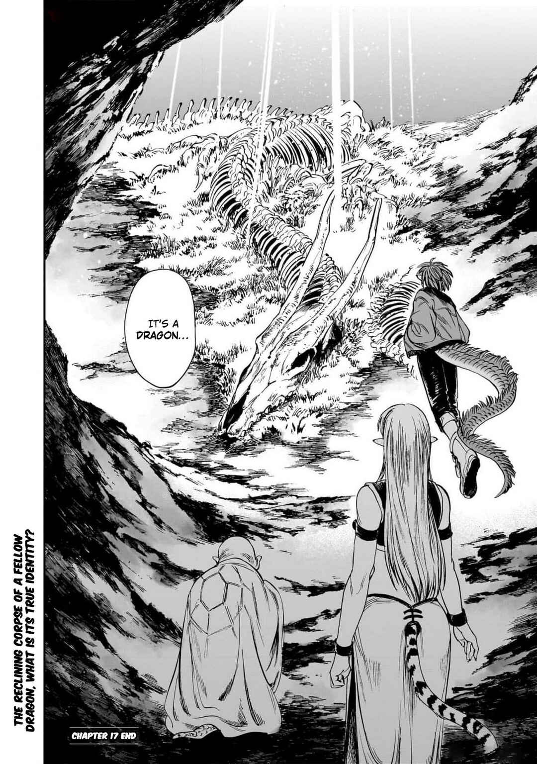 Page 17 Chapter 17 Tora wa Ryuu o Mada Tabenai.