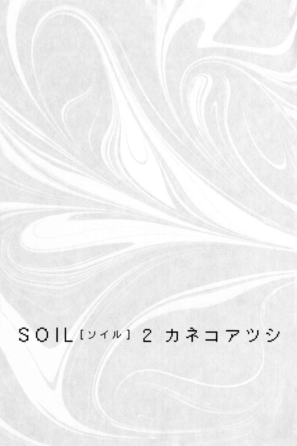 Page 2 Chapter 8 Soil