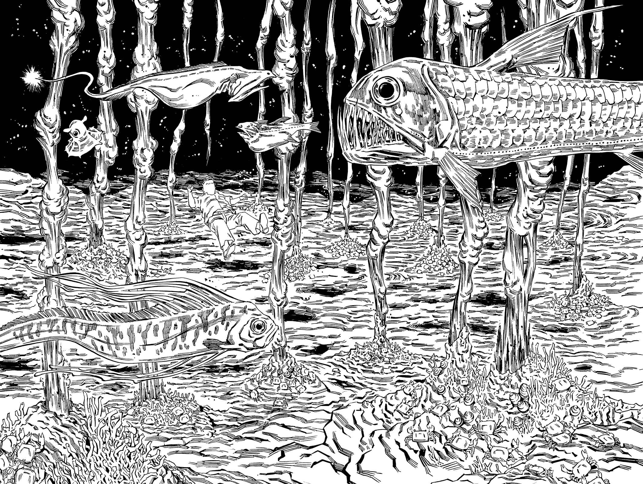 Page 17 Chapter 70 Soil