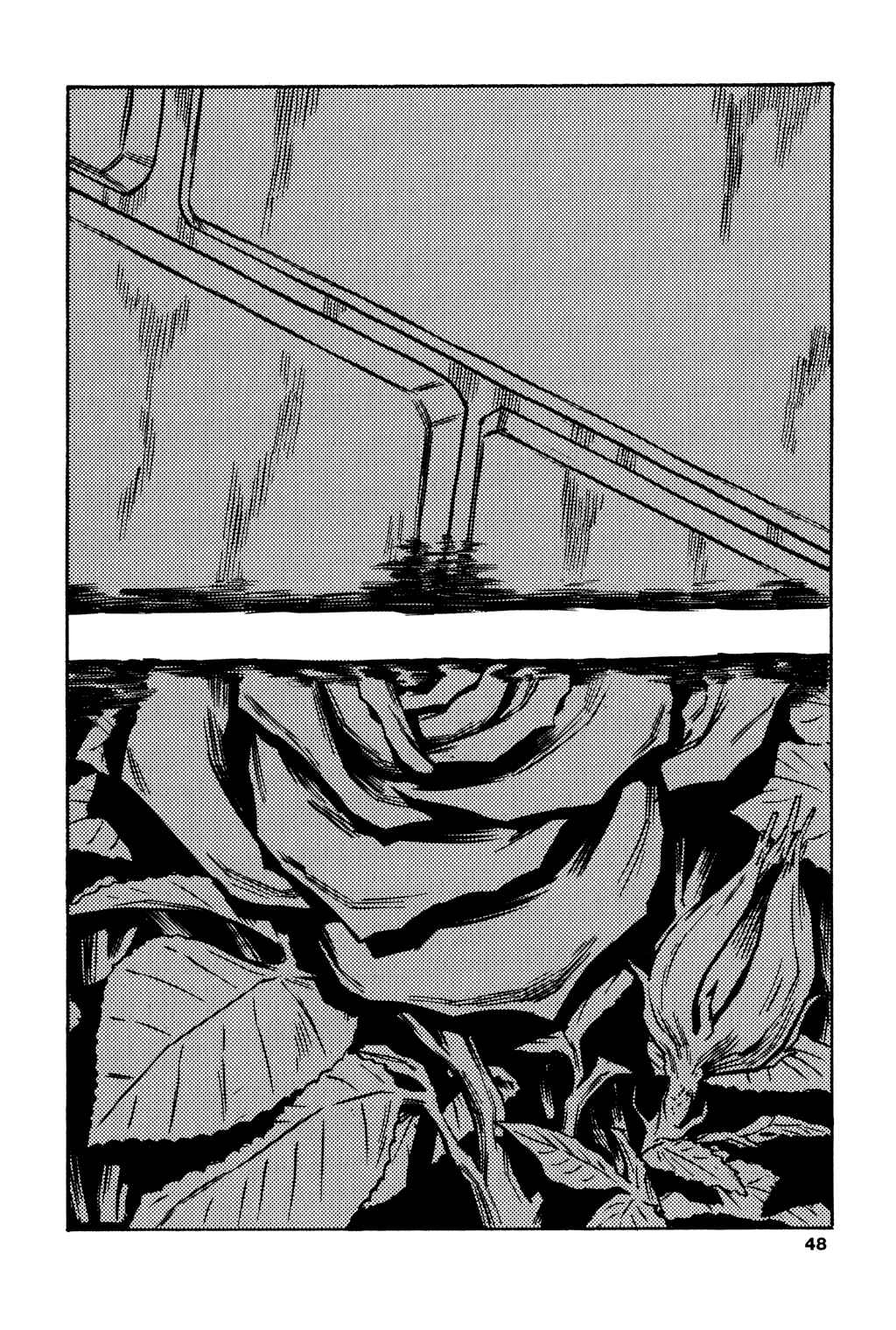Page 13 Chapter 42 Soil
