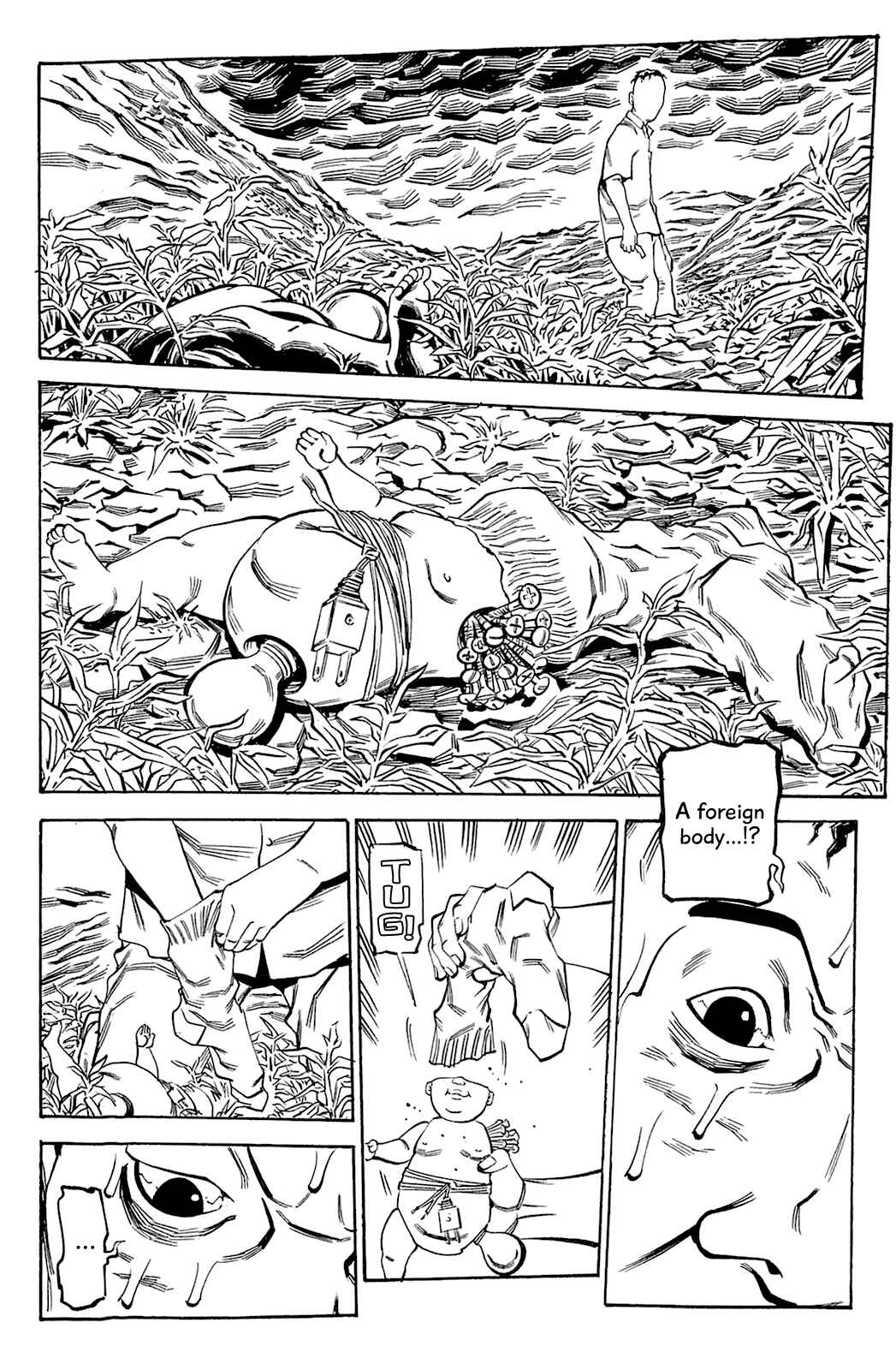 Page 21 Chapter 68 Soil