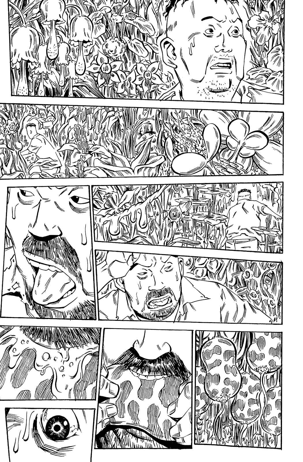 Page 16 Chapter 71 Soil