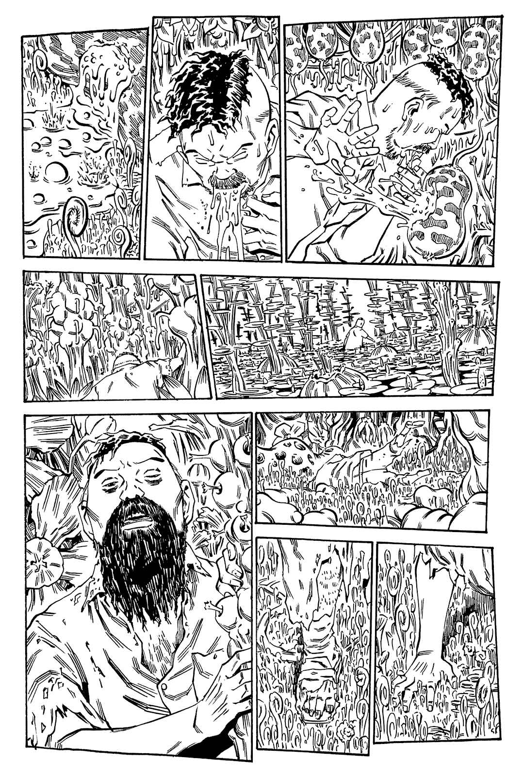 Page 17 Chapter 71 Soil