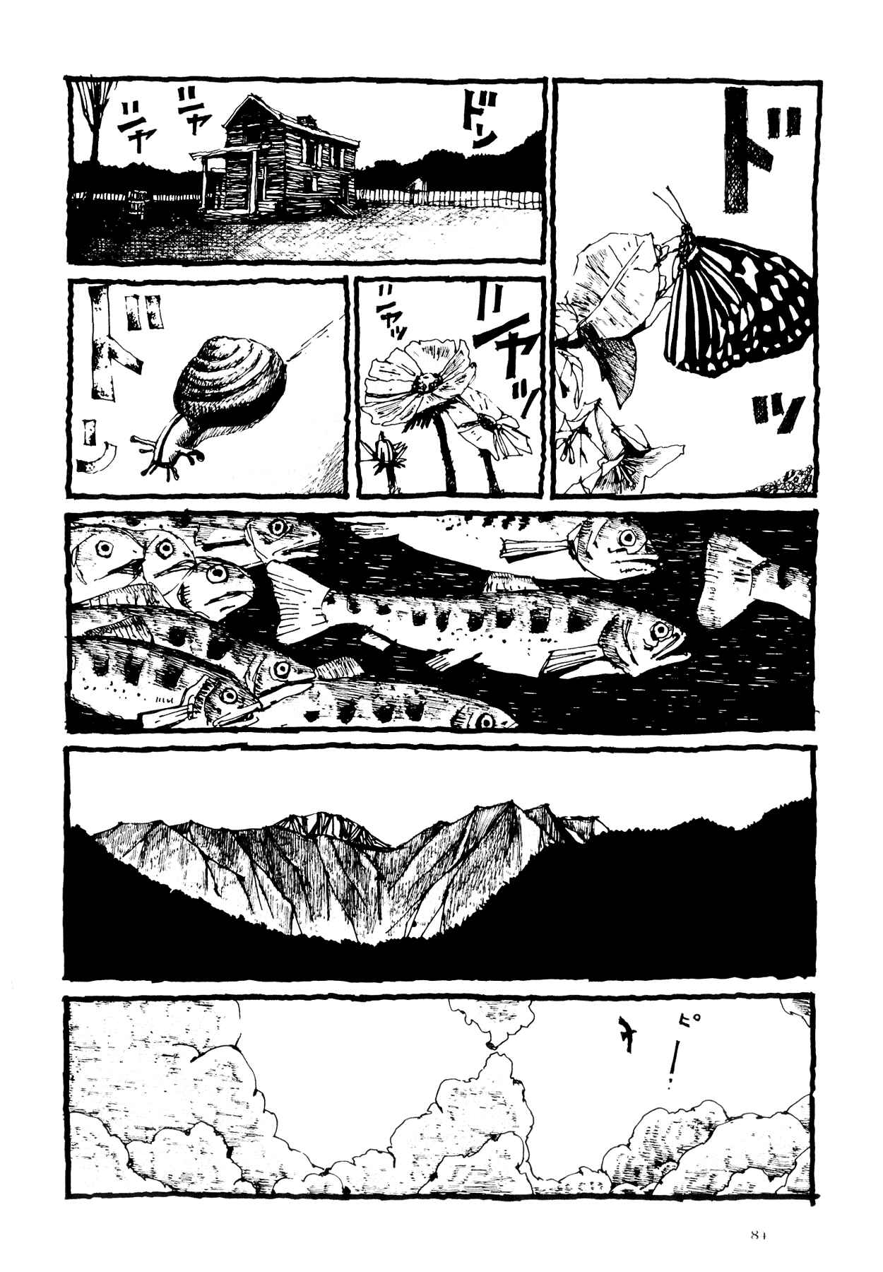 Page 19 Chapter 4 Flower