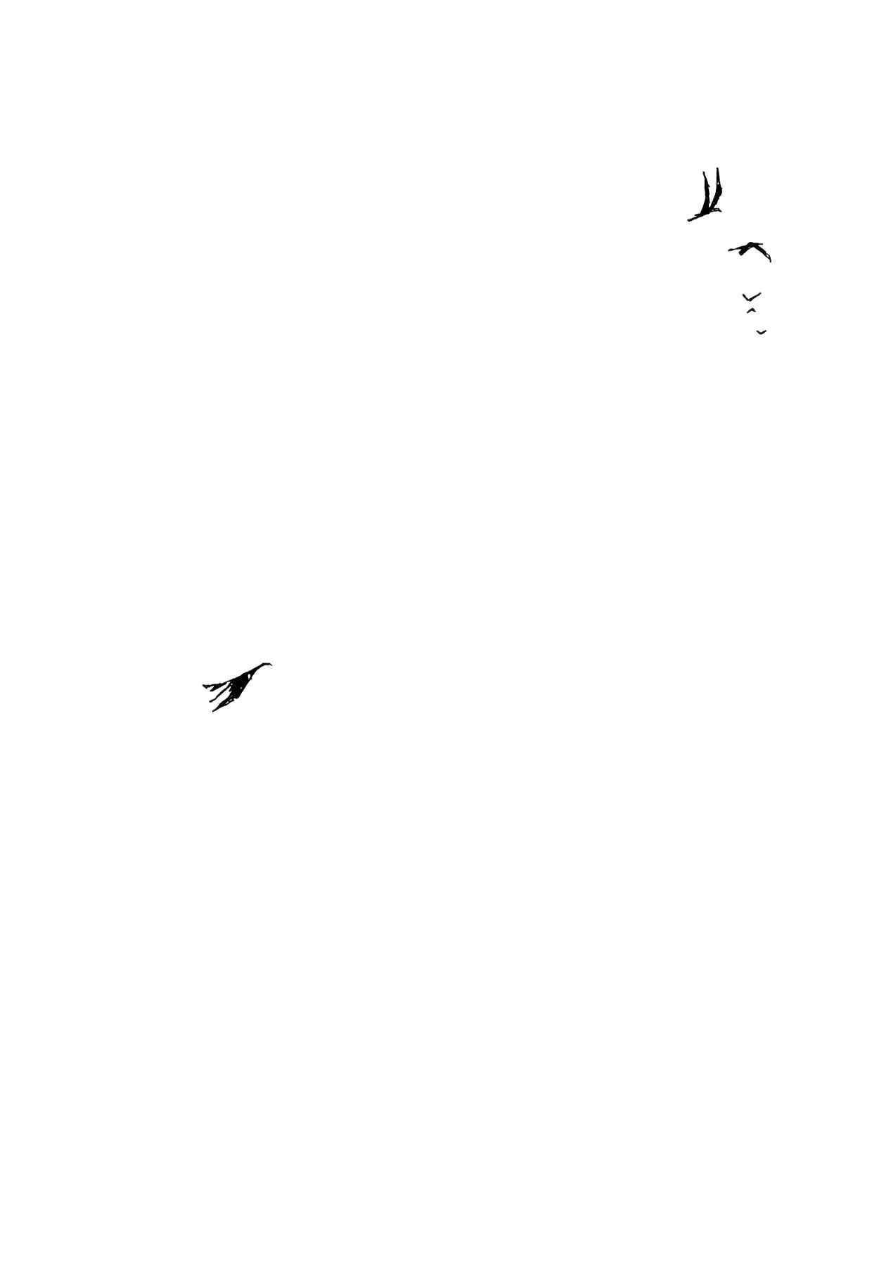 Page 7 Chapter 4 Flower