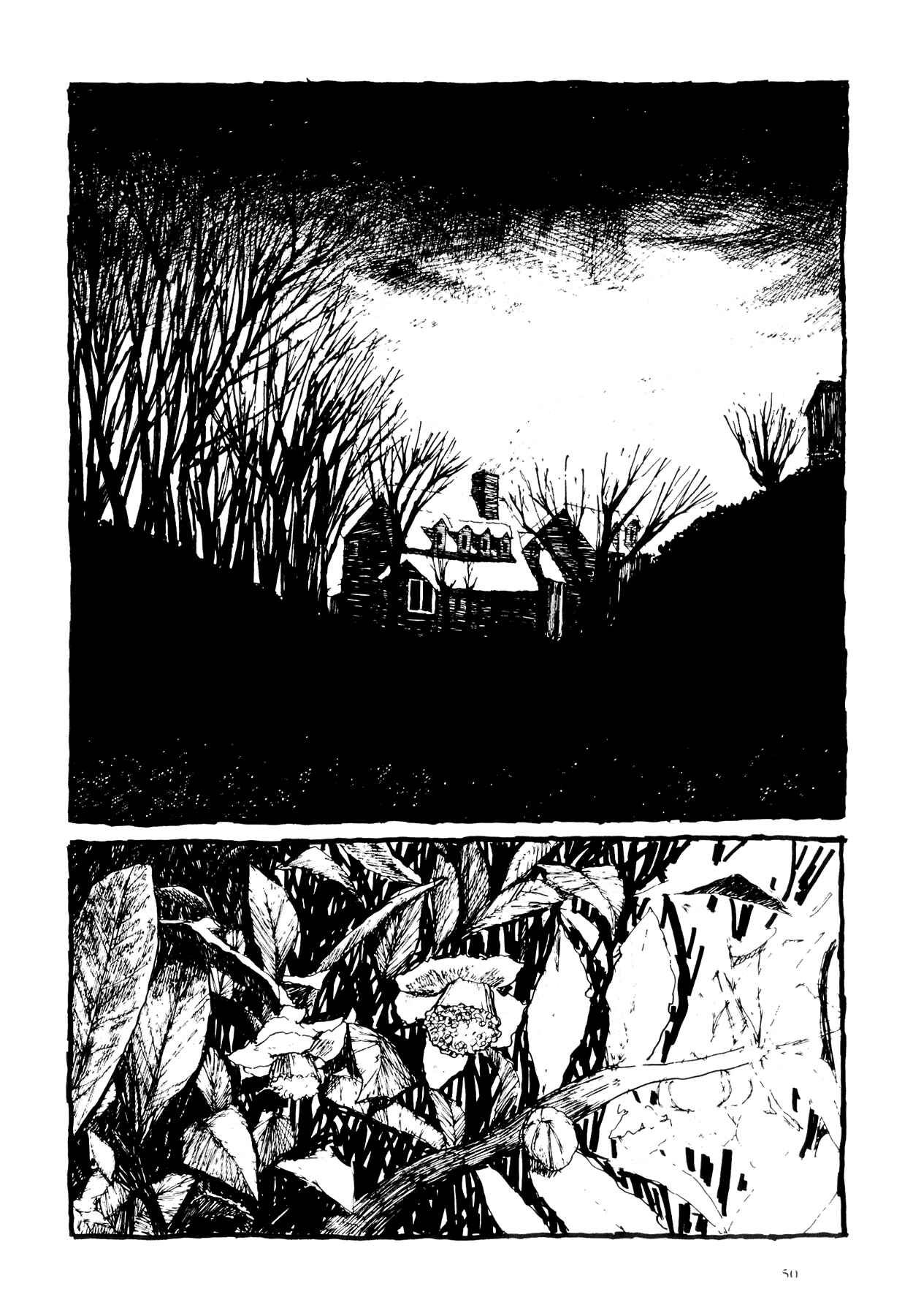 Page 2 Chapter 3 Flower