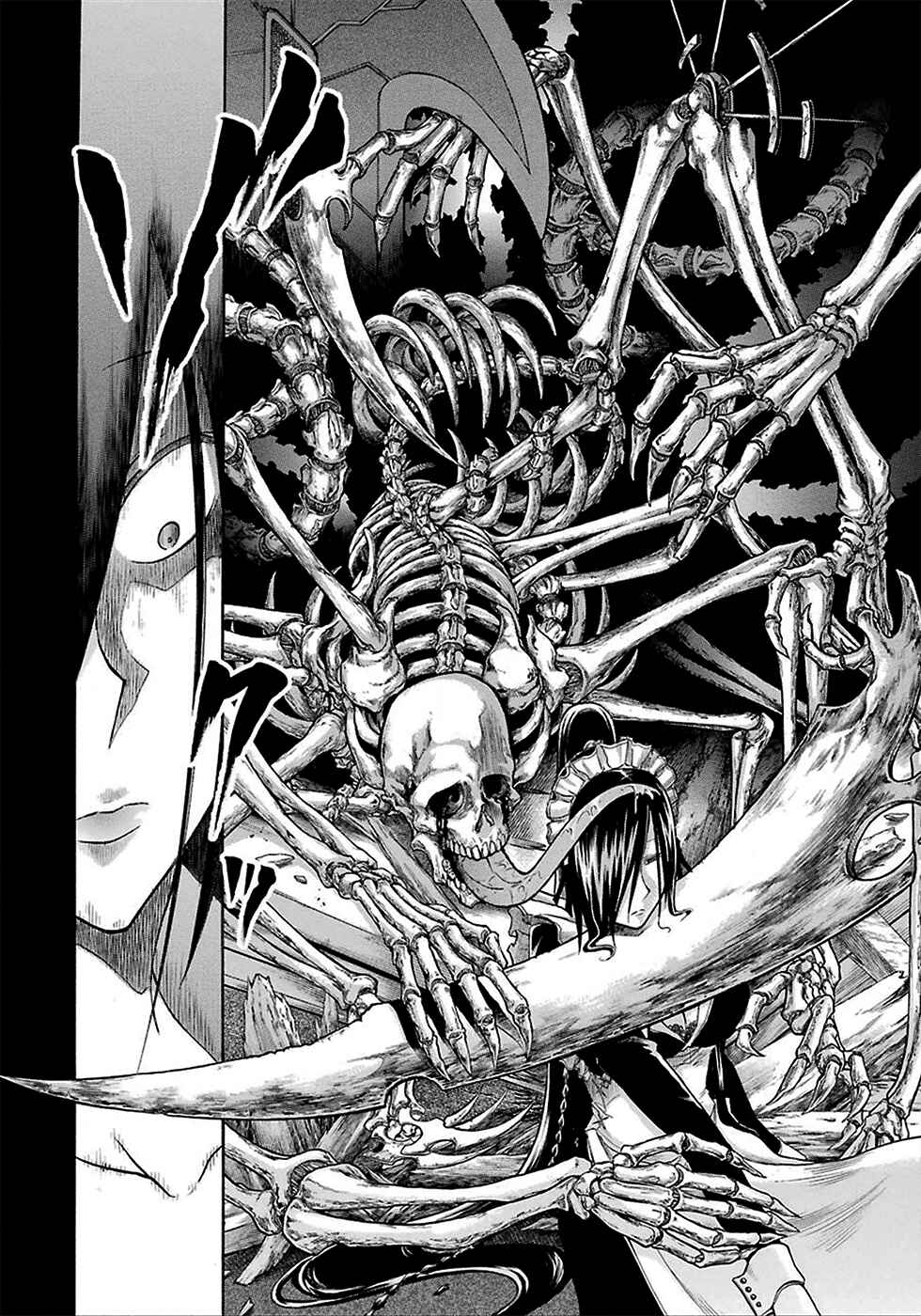 Page 28 Chapter 8 Murciélago