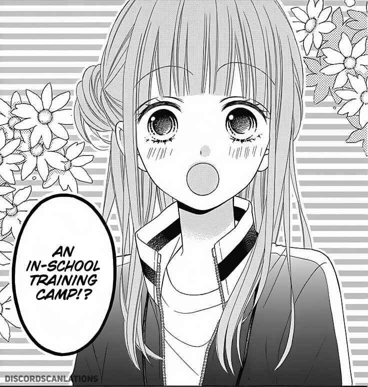 Page 5 Chapter 30 Tsubasa to Hotaru