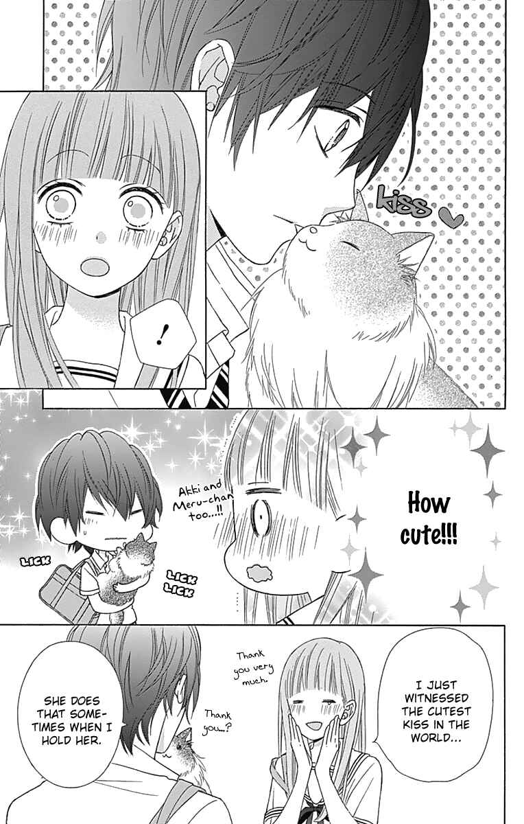 Page 18 Chapter 41 Tsubasa to Hotaru
