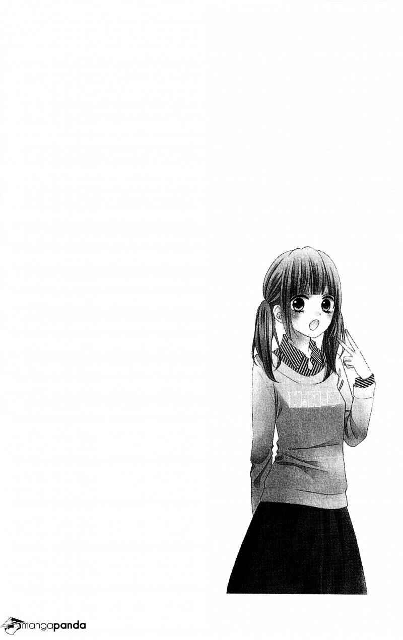 Page 36 Chapter 20 Tsubasa to Hotaru